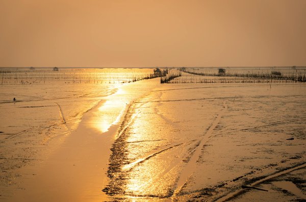 Découvrez les meilleures options de location de voiture à ajaccio
